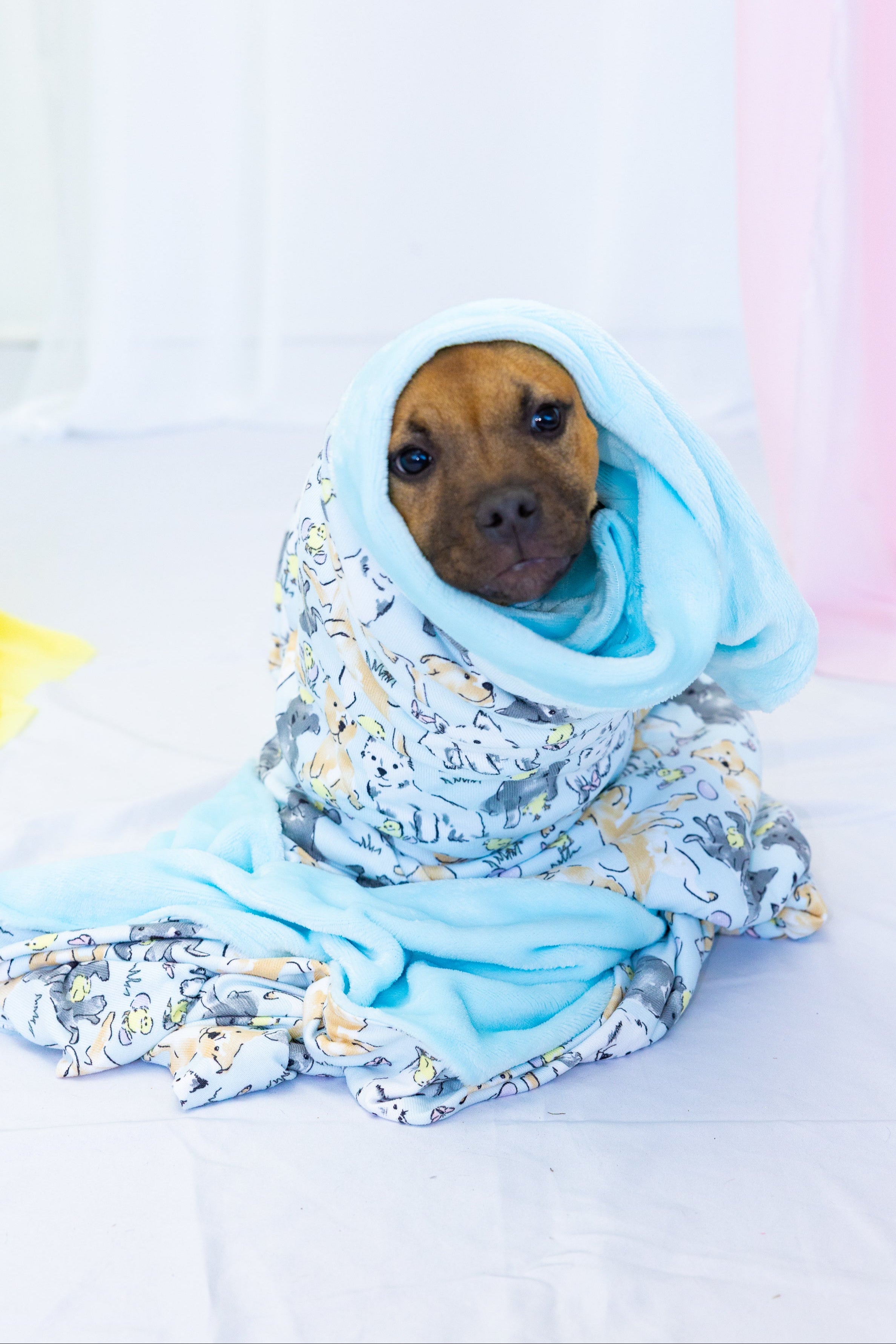 Easter Play Date Blanket