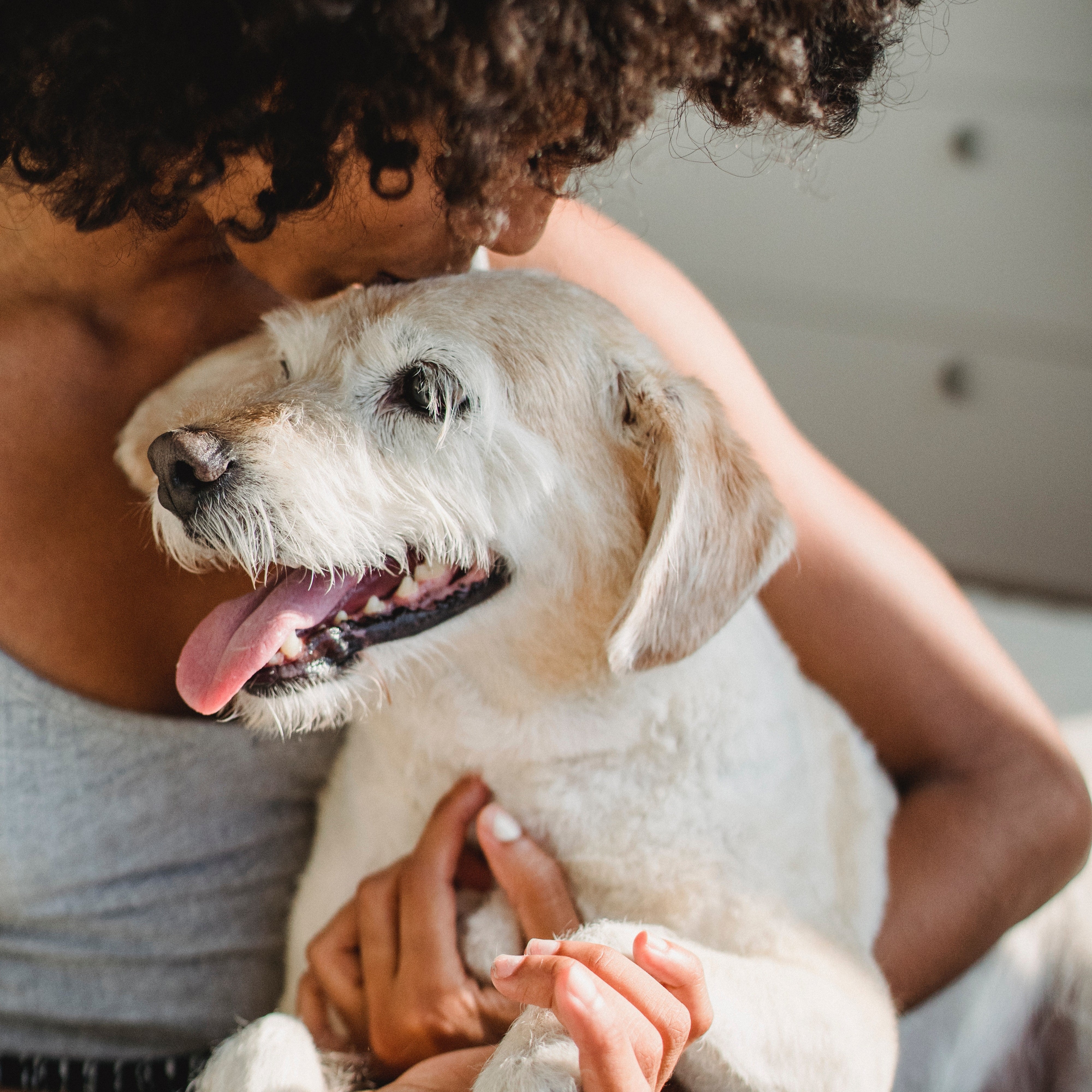 A girl hugs a rescue dog on her lap.