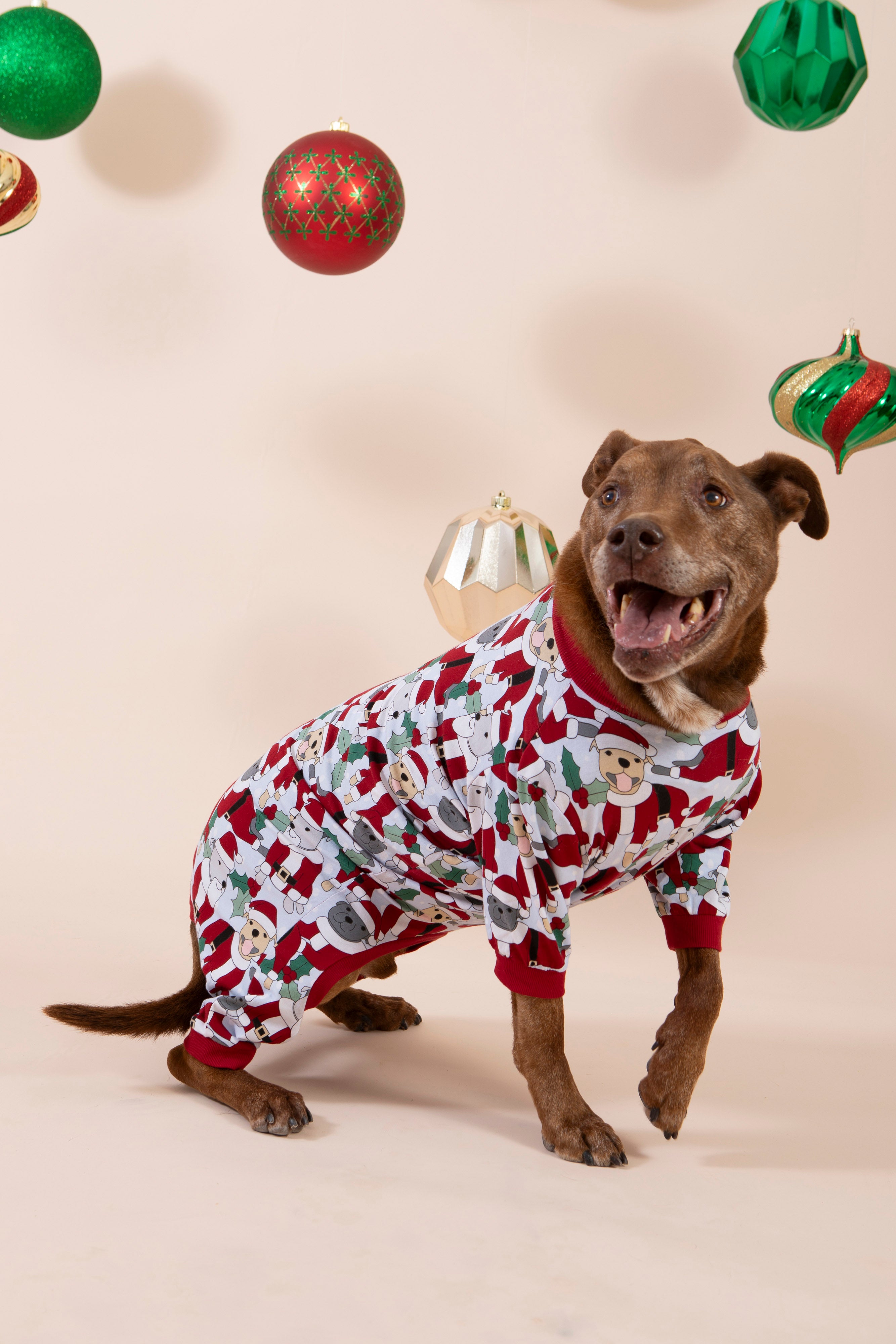 Santa Paws Dog Onesie