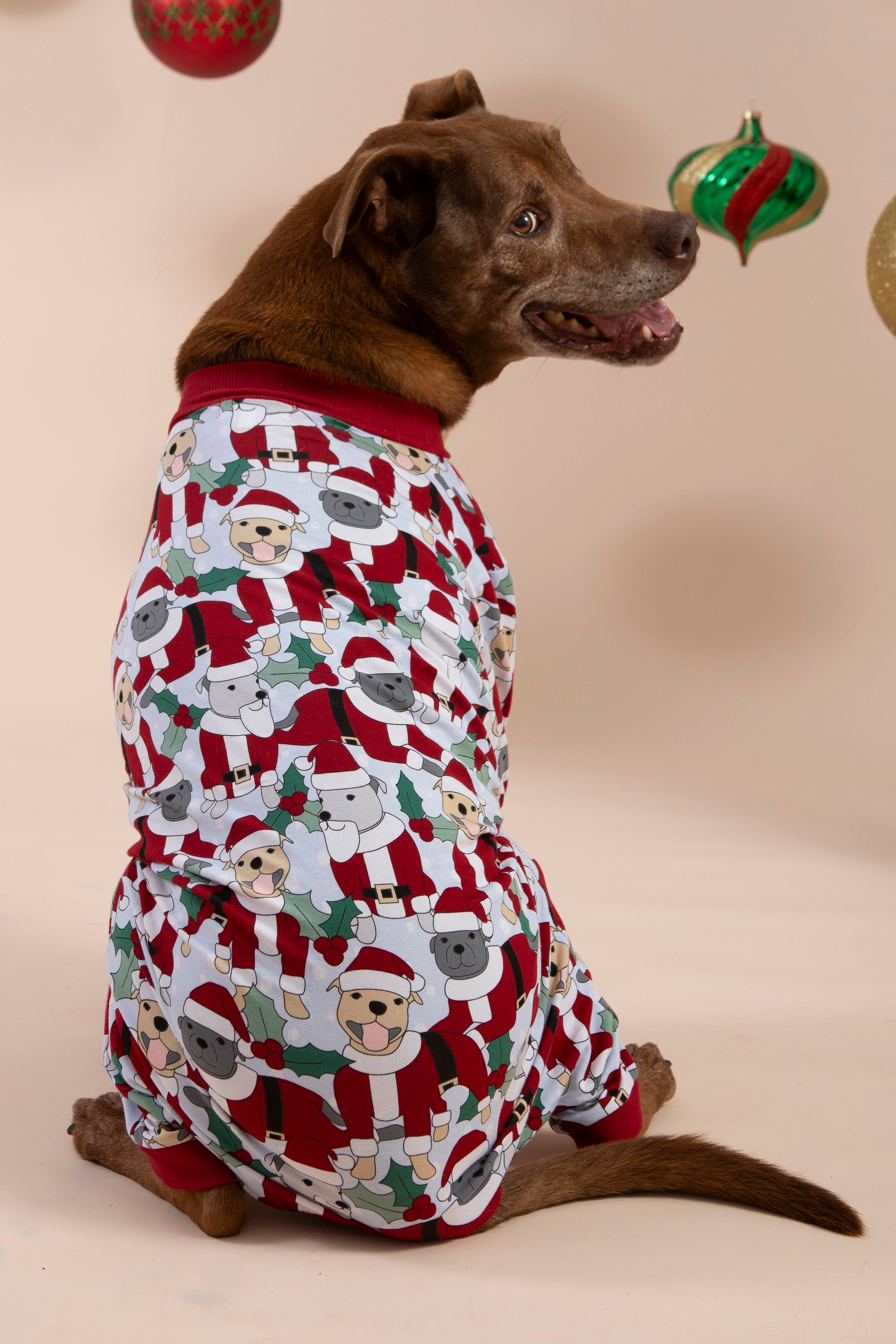 Santa Paws Dog Onesie