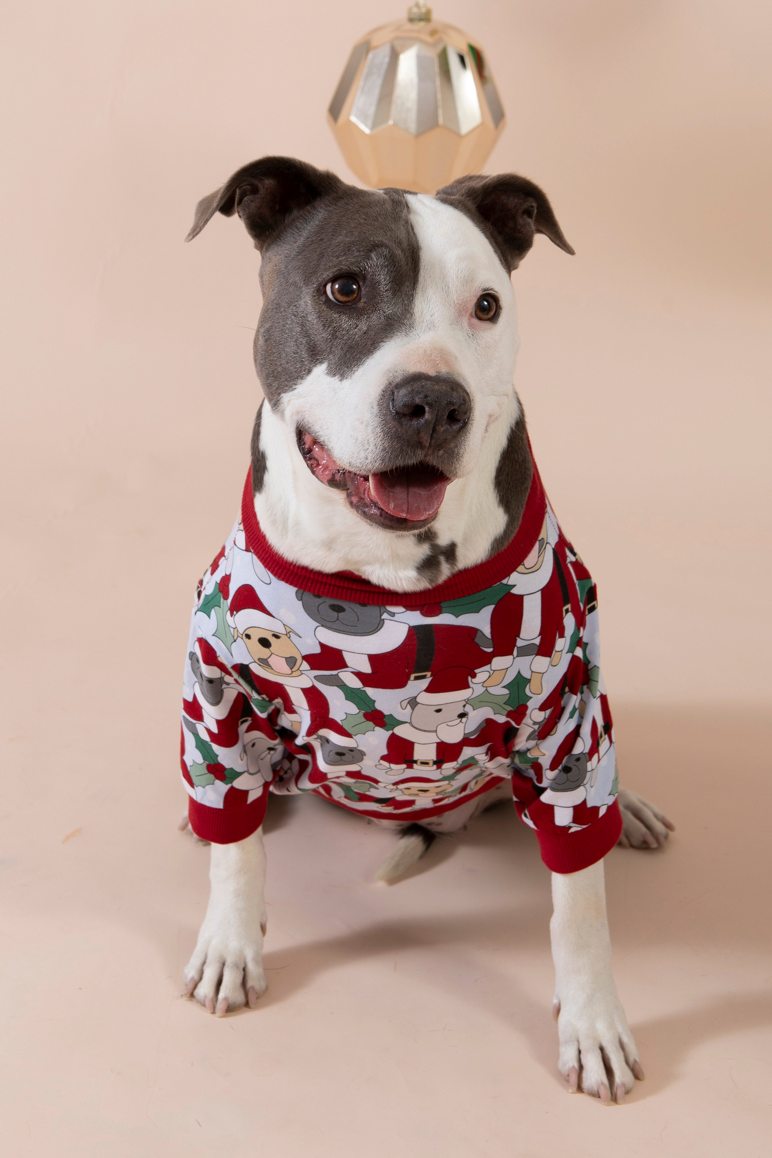 Santa Paws Dog Tee