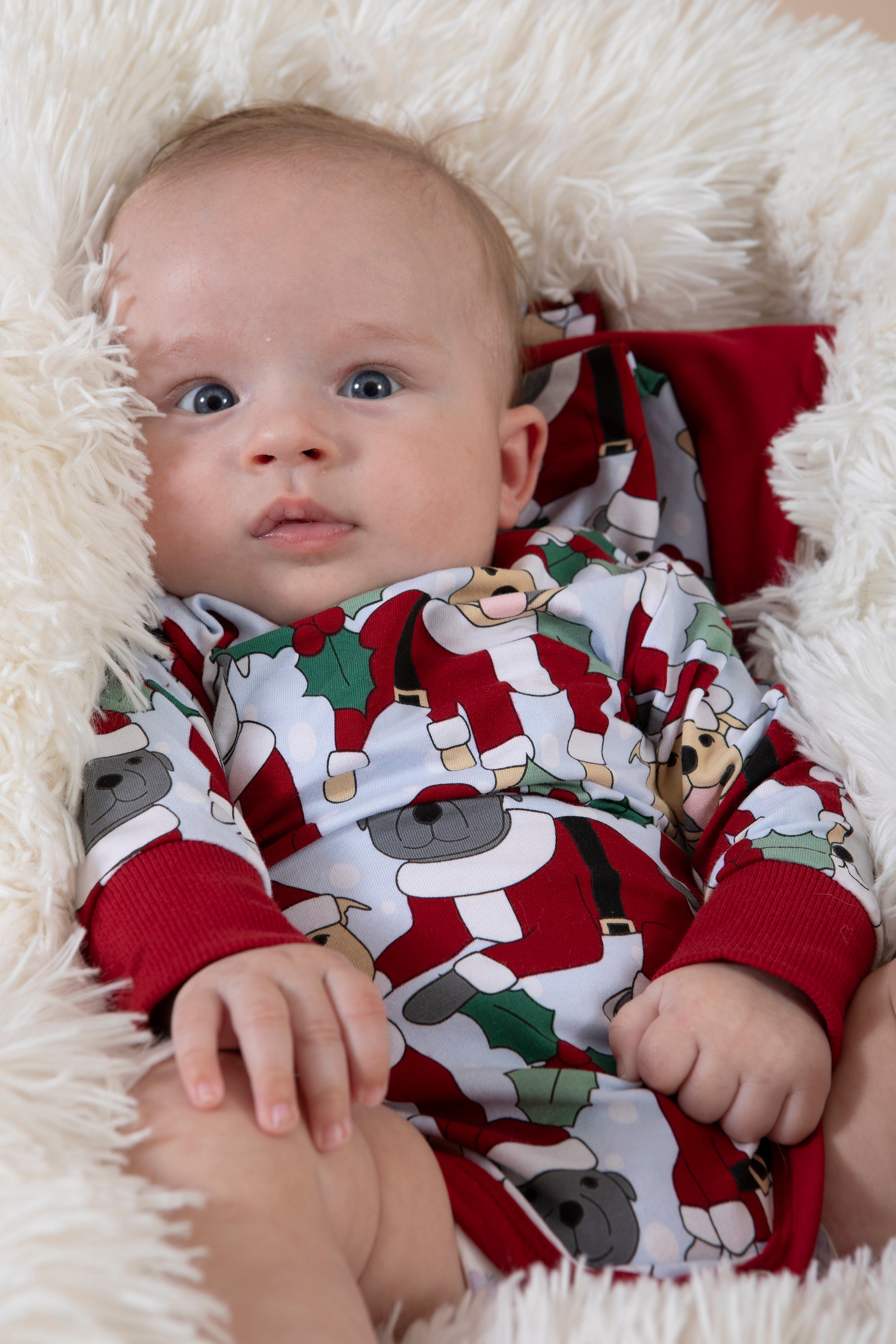 Santa Paws Baby Onesie