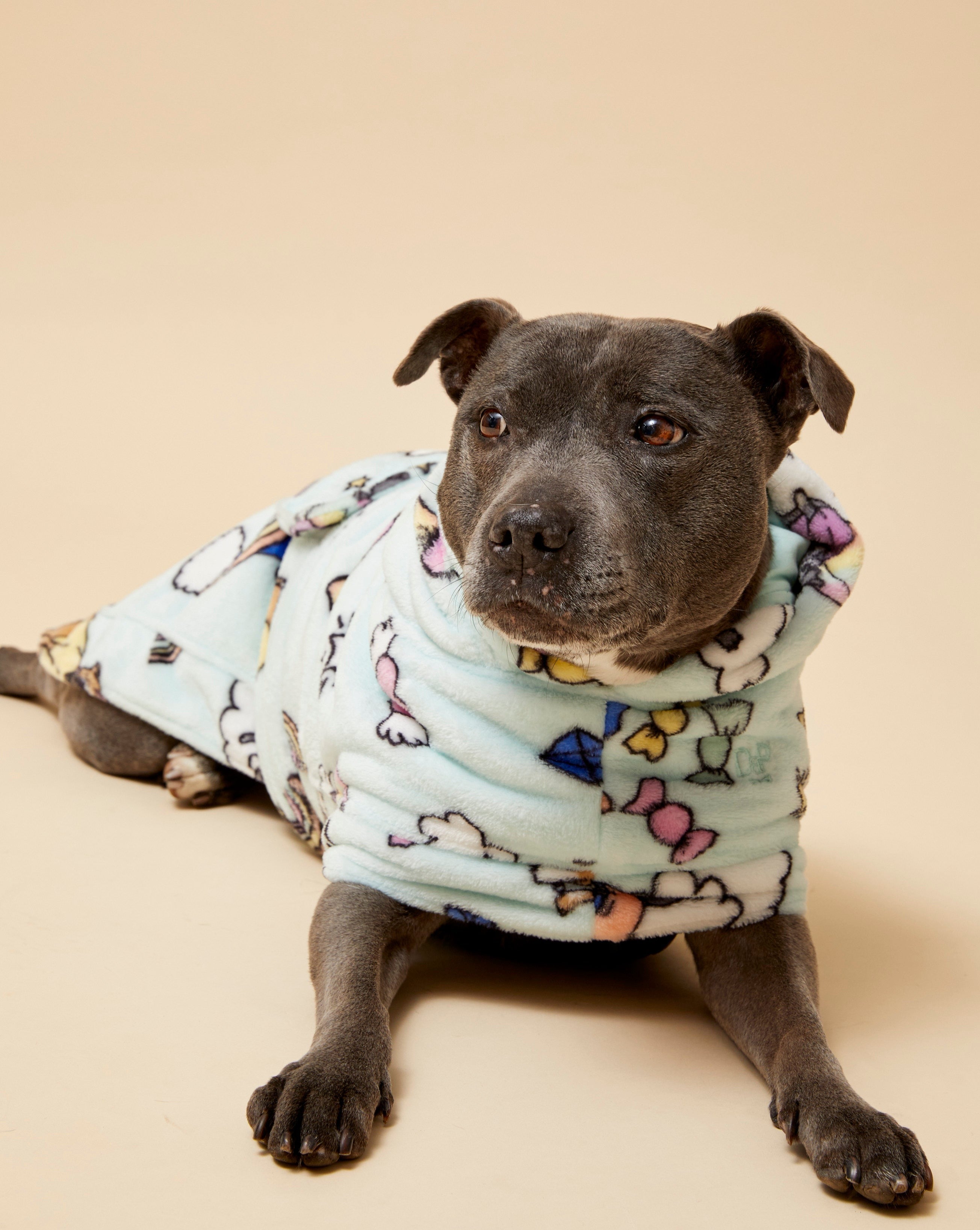 Darren and Phillip calming dog robe.