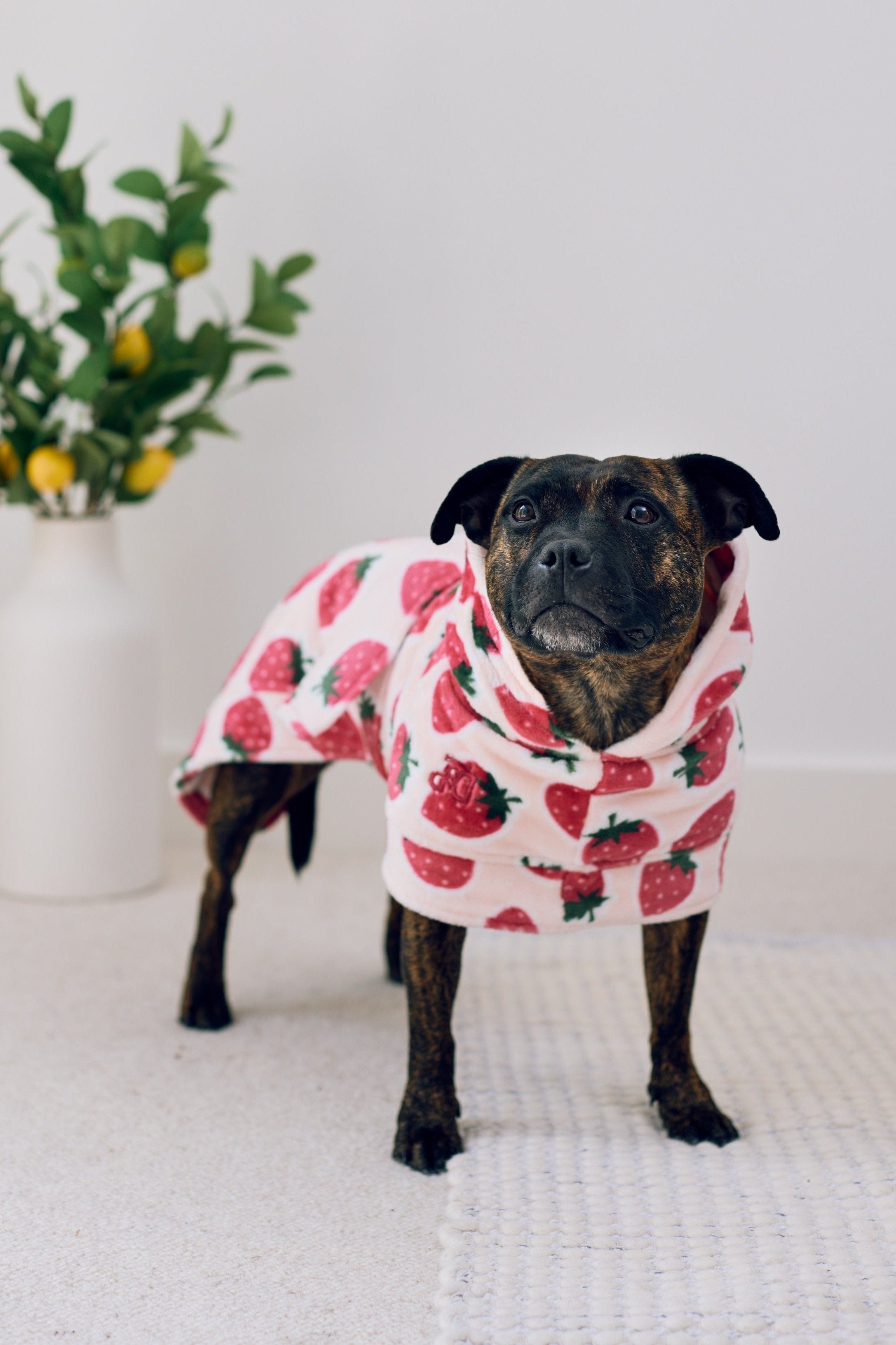 Cutie Frutti Dog Robe | Strawberry