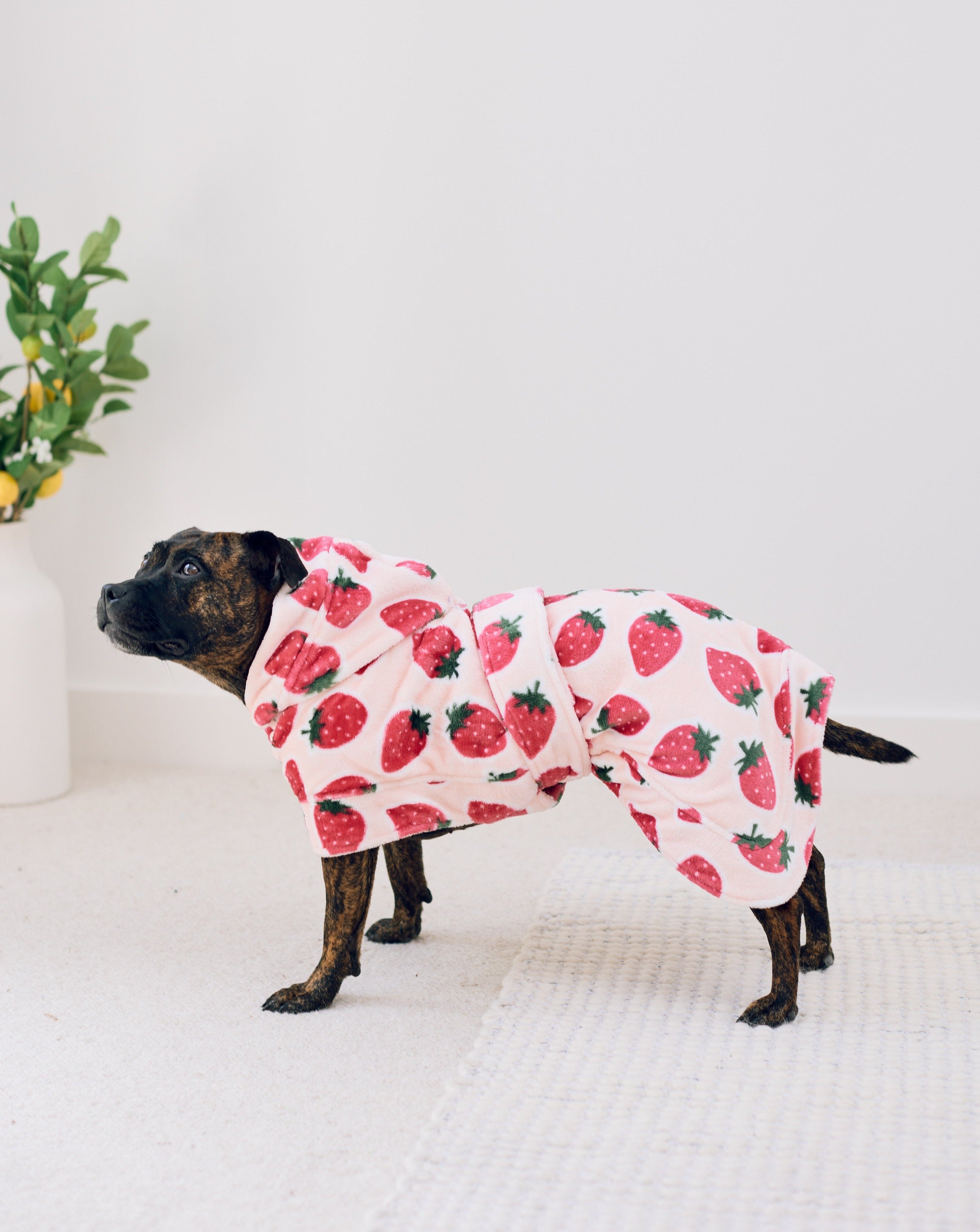 Cutie Frutti Dog Robe | Strawberry