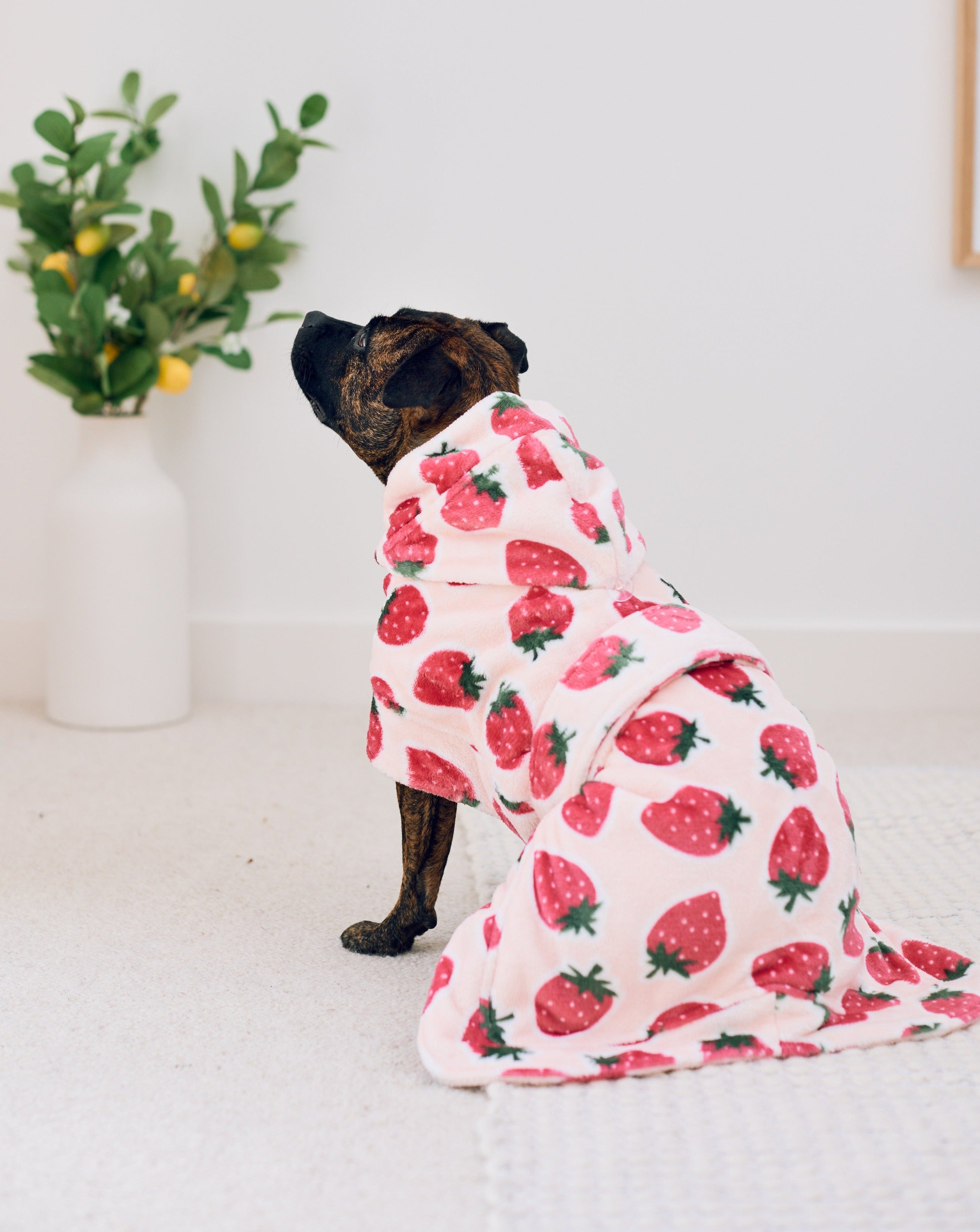 Cutie Frutti Dog Robe | Strawberry