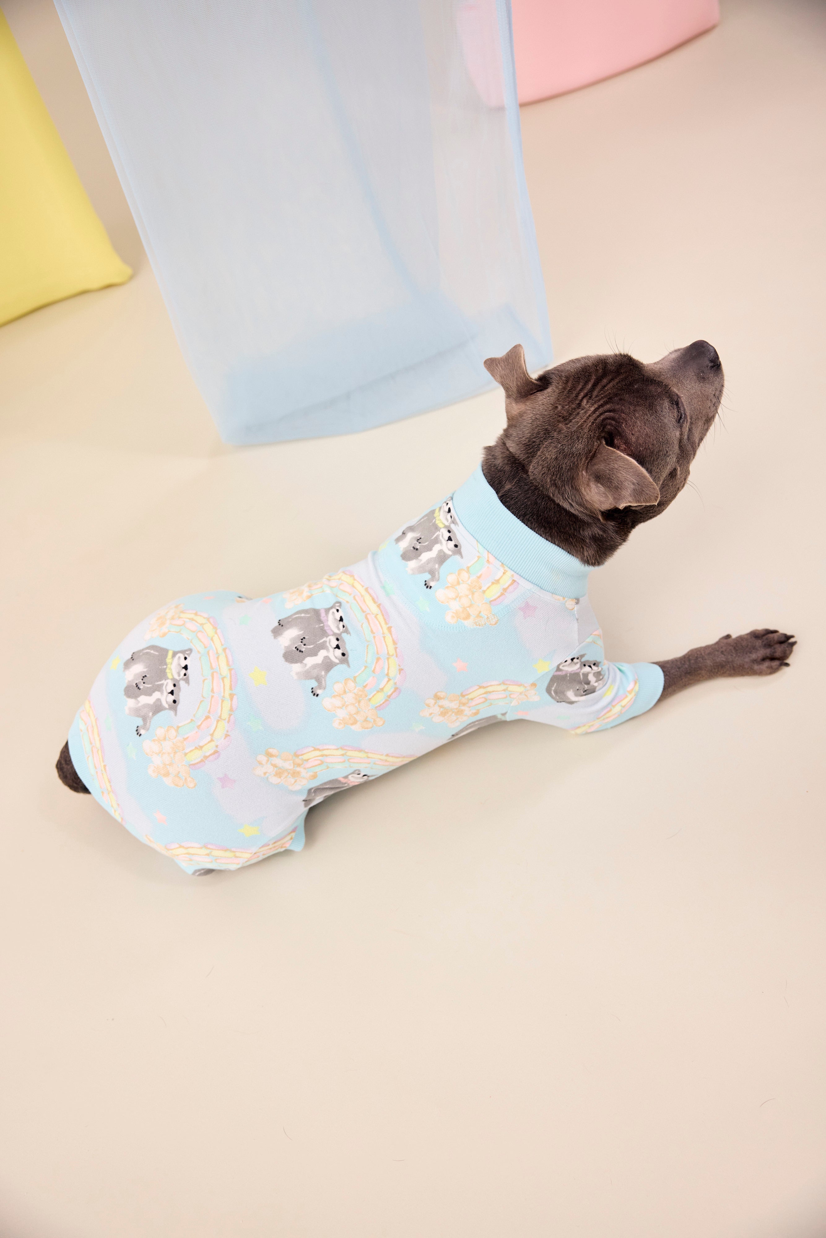 Sweet Rainbow Dreams Dog Onesie