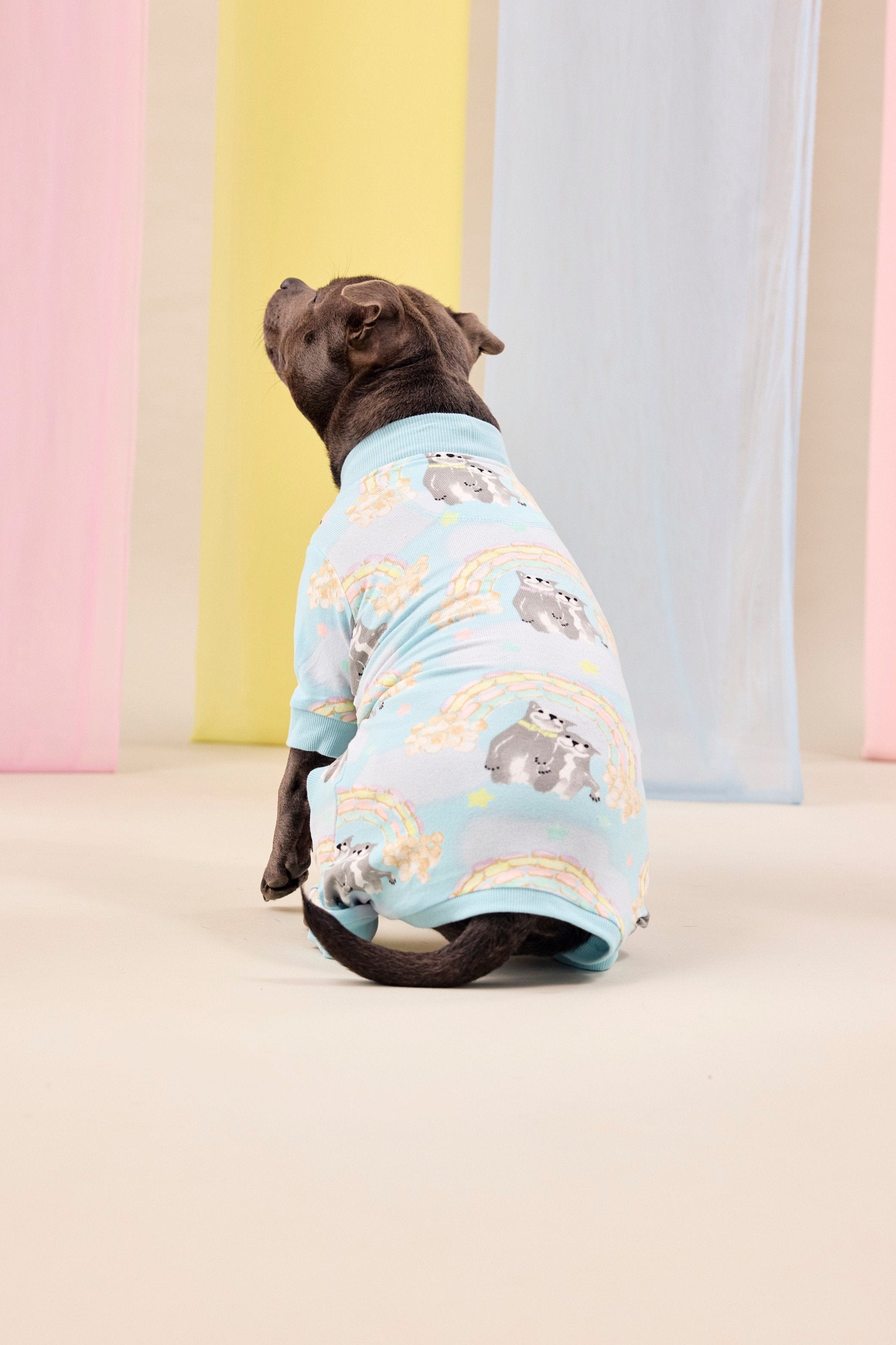 Sweet Rainbow Dreams Dog Onesie