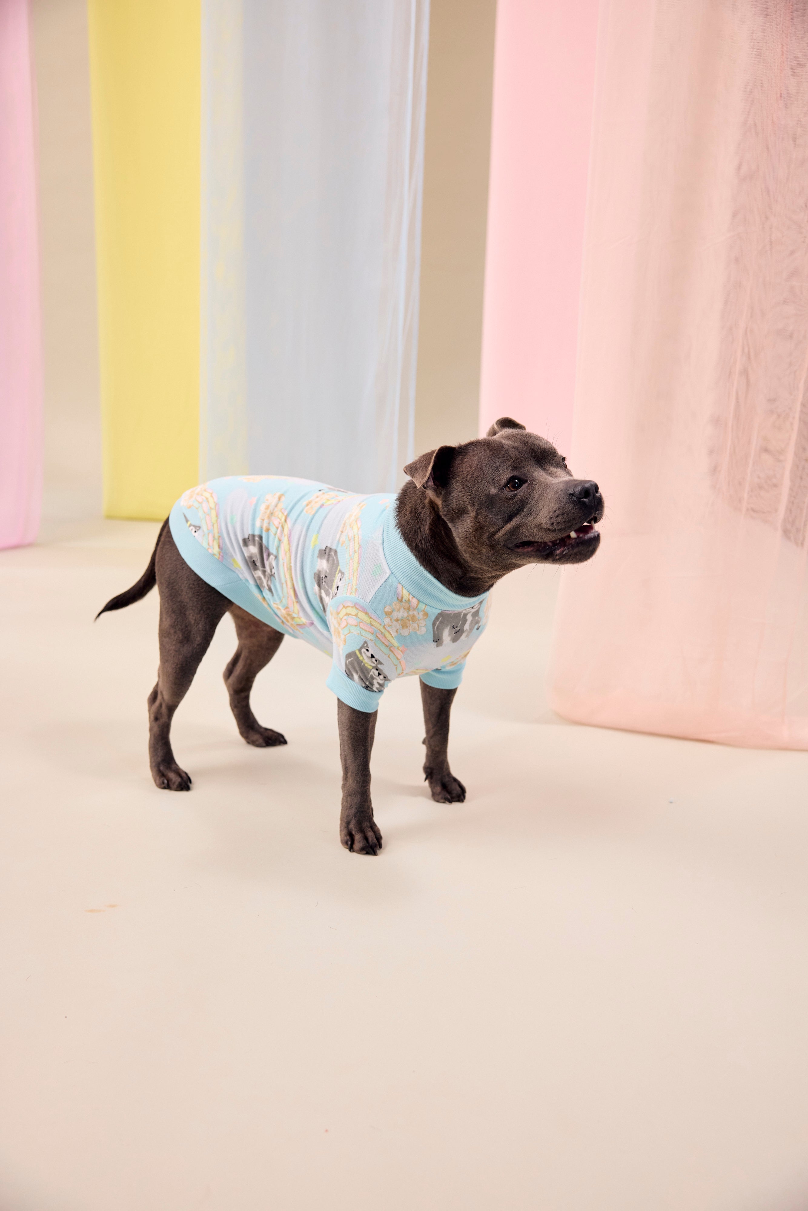 Sweet Rainbow Dreams Dog Tee