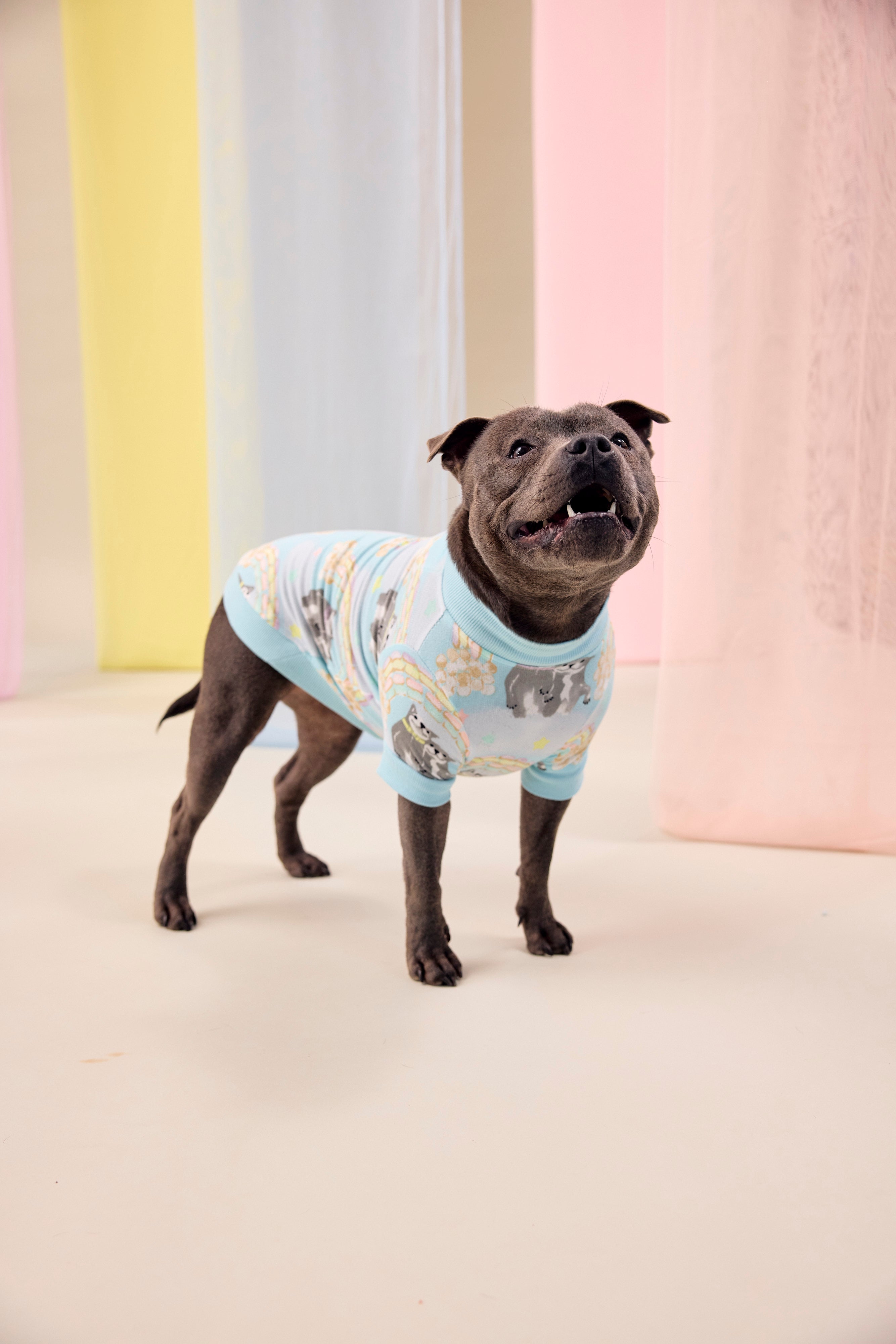 Sweet Rainbow Dreams Dog Tee