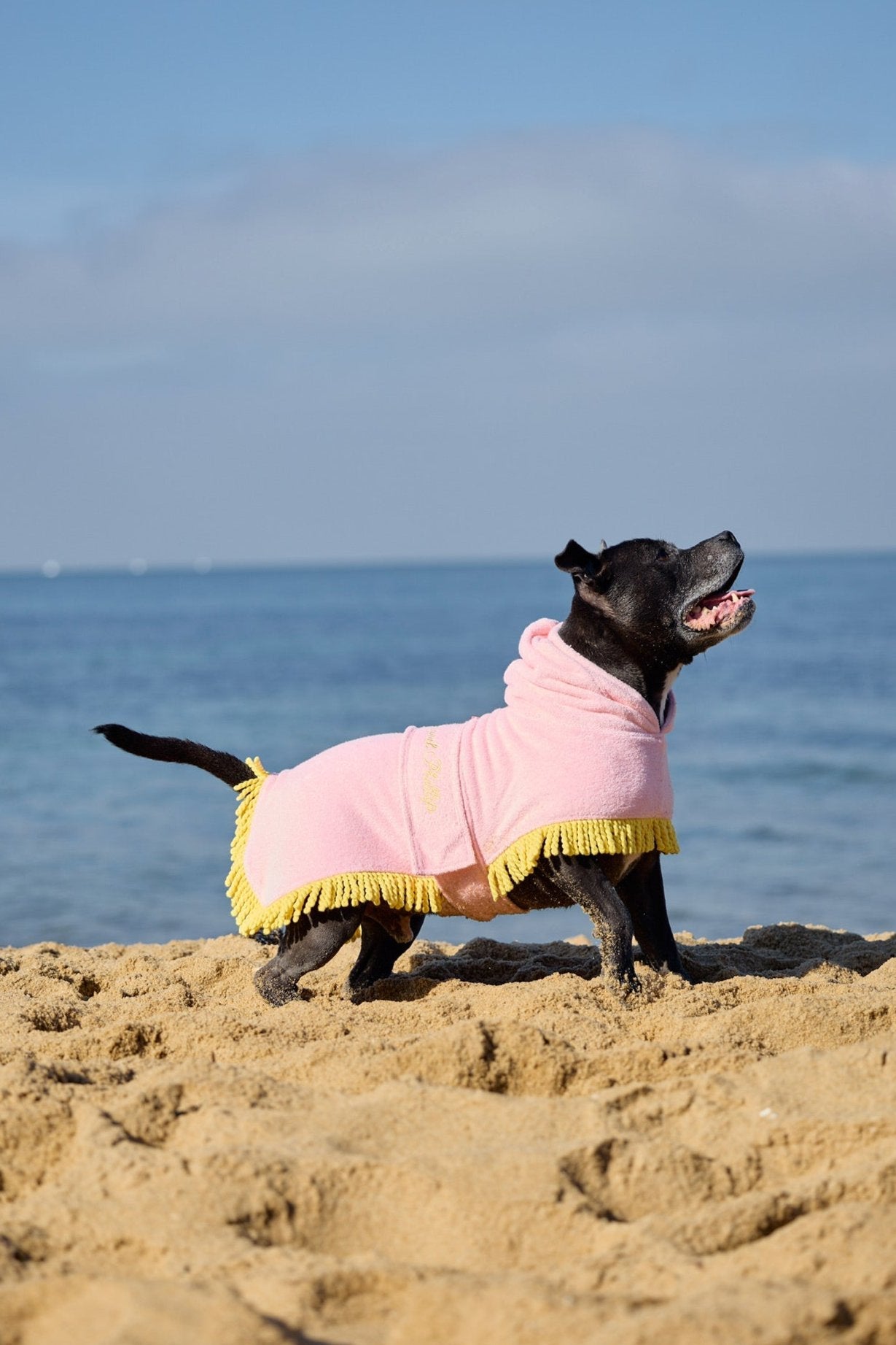 Tassel Towel Snuggle Buddy Dog Robe | Peachy Pink