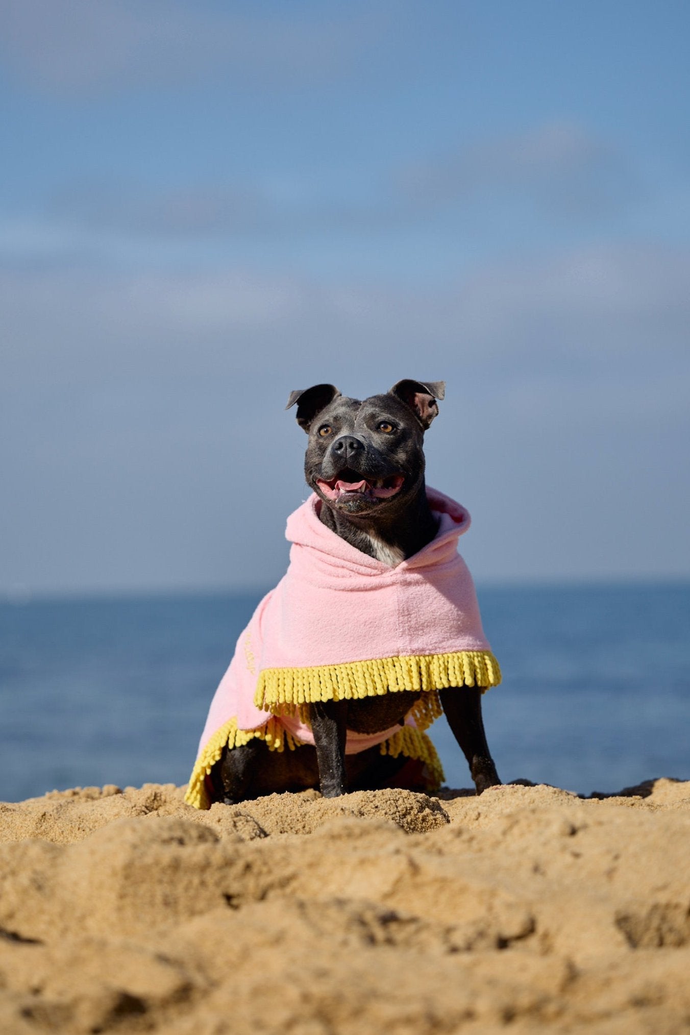 Tassel Towel Snuggle Buddy Dog Robe | Peachy Pink