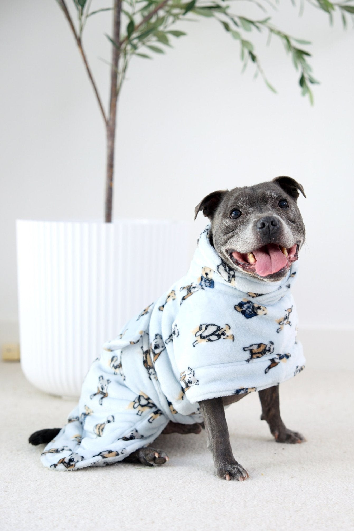 Preppy Pups Snuggle Buddy Dog Robe