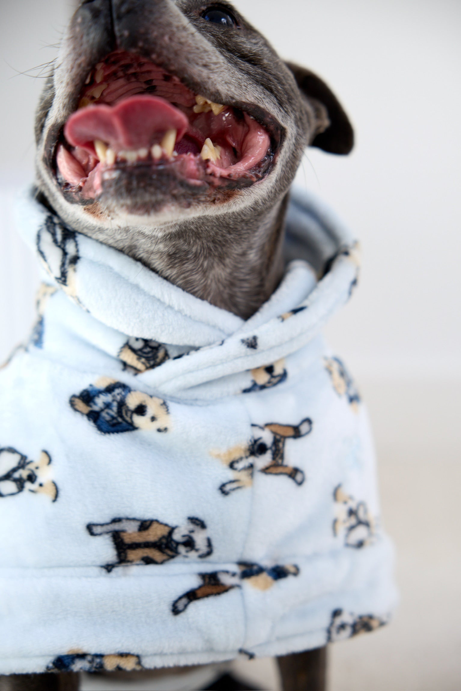 Preppy Pups Snuggle Buddy Dog Robe