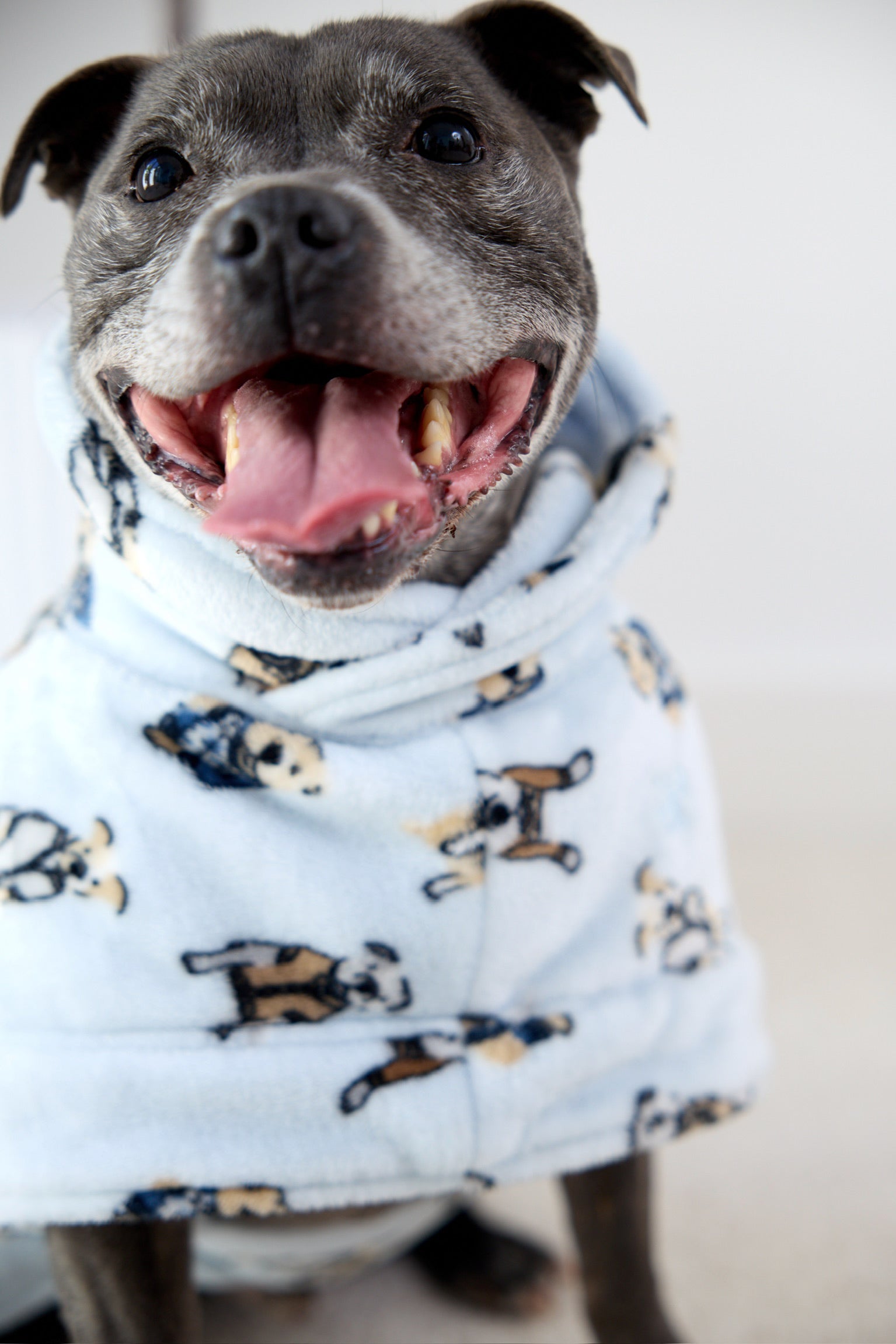 Preppy Pups Snuggle Buddy Dog Robe