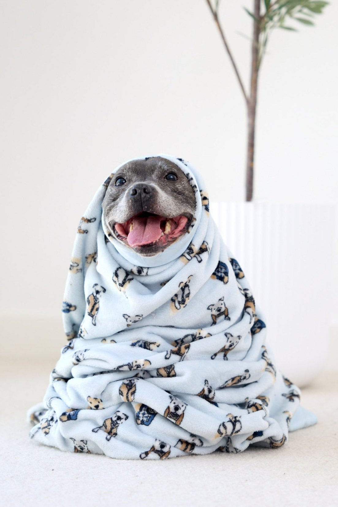 Preppy Pups Blanket