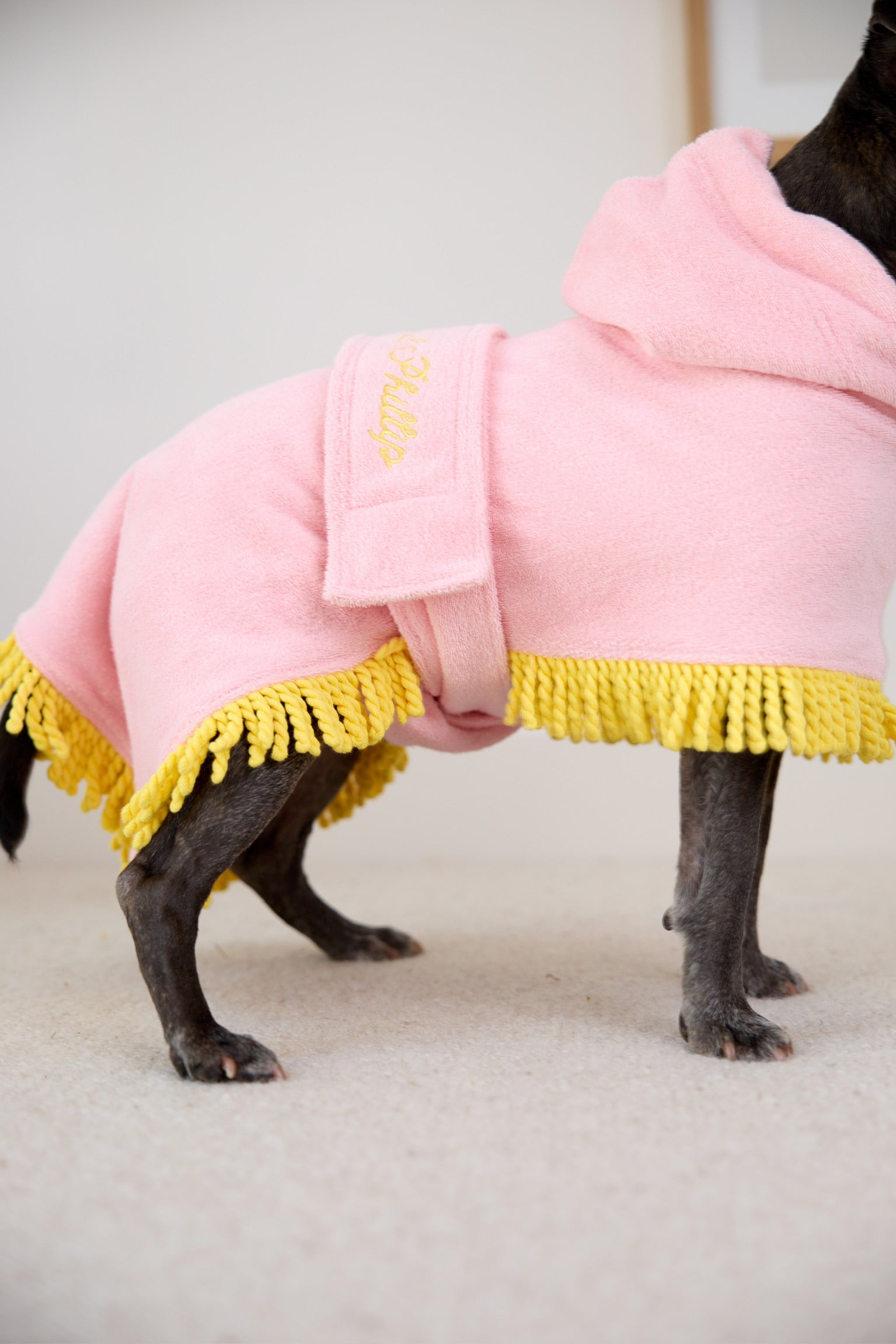 Tassel Towel Snuggle Buddy Dog Robe | Peachy Pink