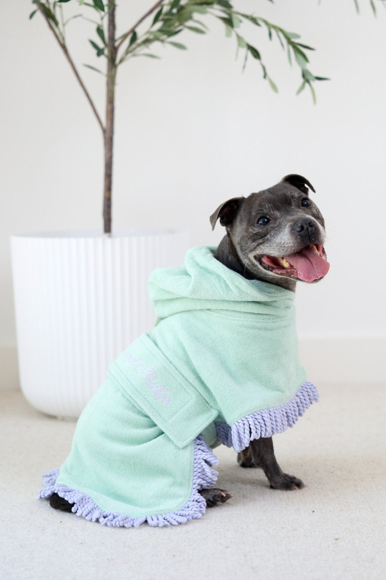 Tassel Towel Snuggle Buddy Dog Robe | Minty Green