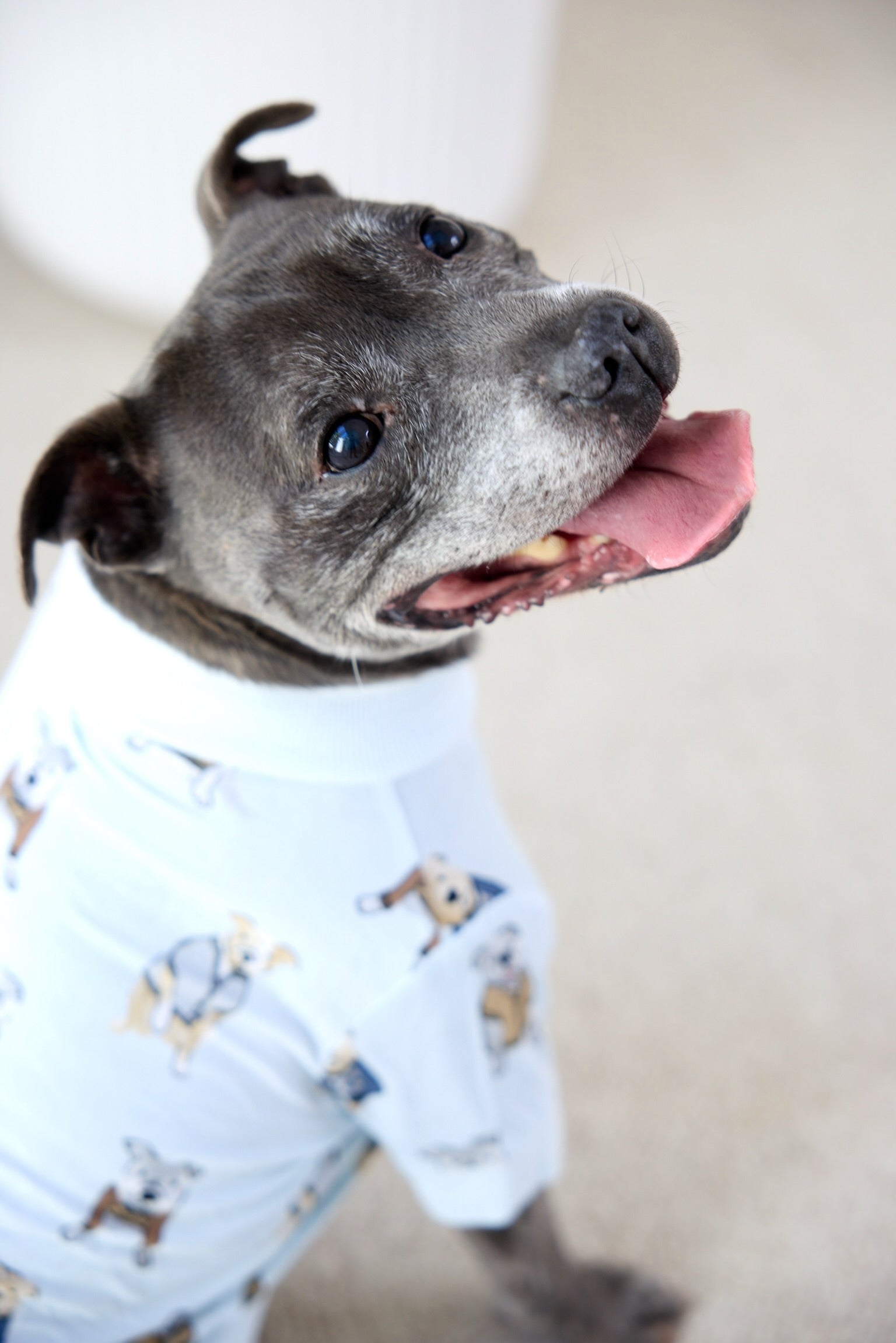 Preppy Pups Dog Tee