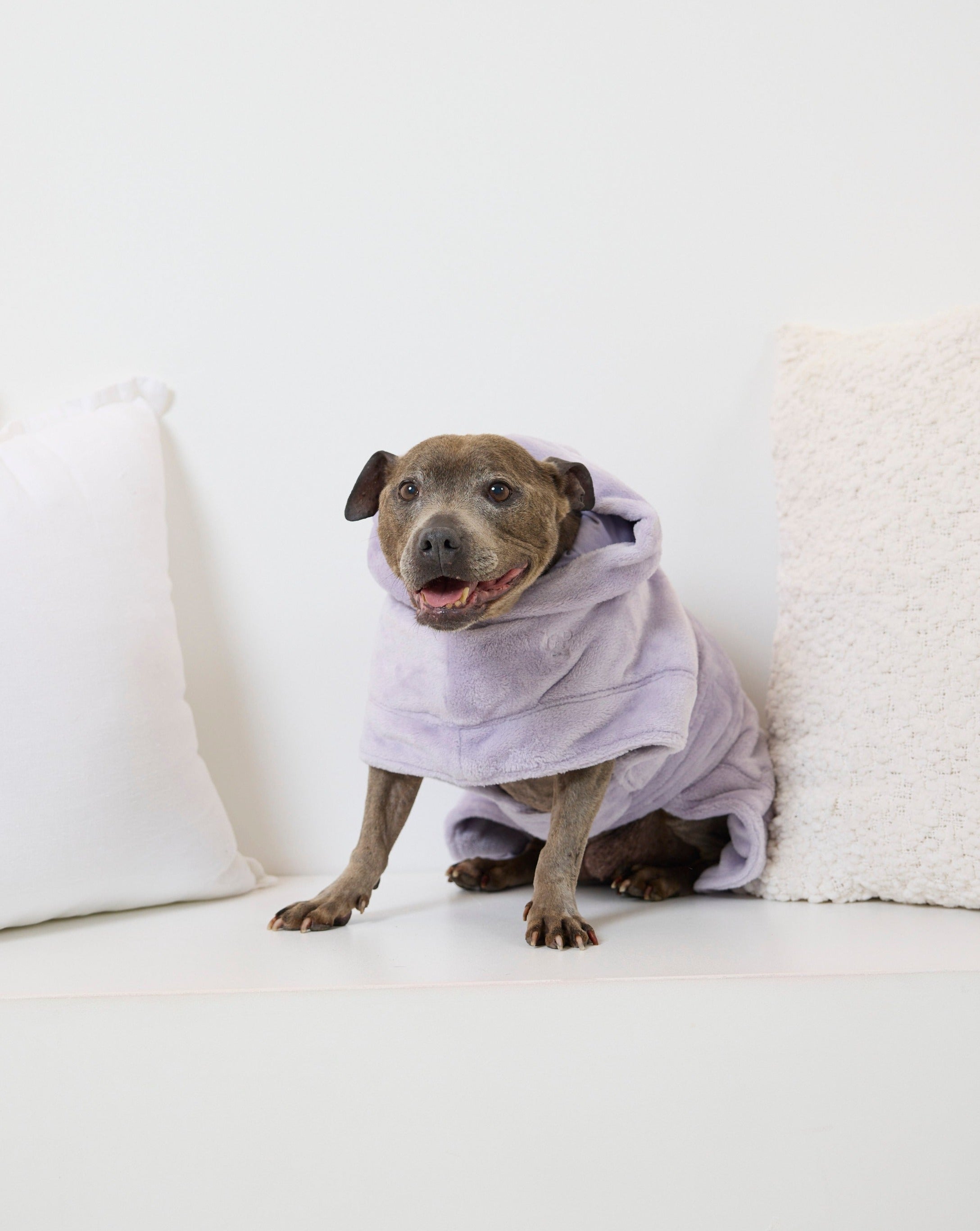 Darren and Phillip calming dog robes.