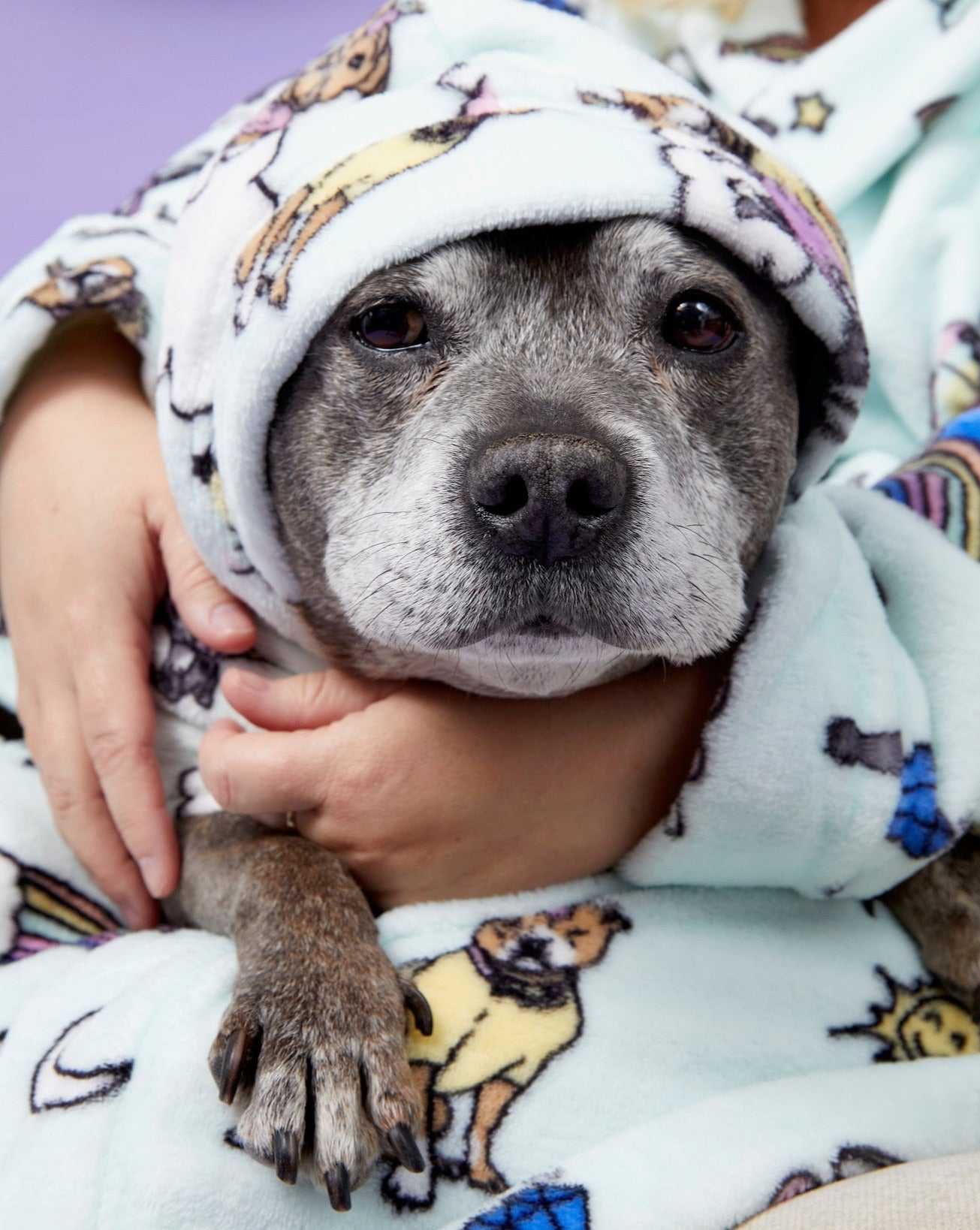 Darren and Phillip match your dog robes.