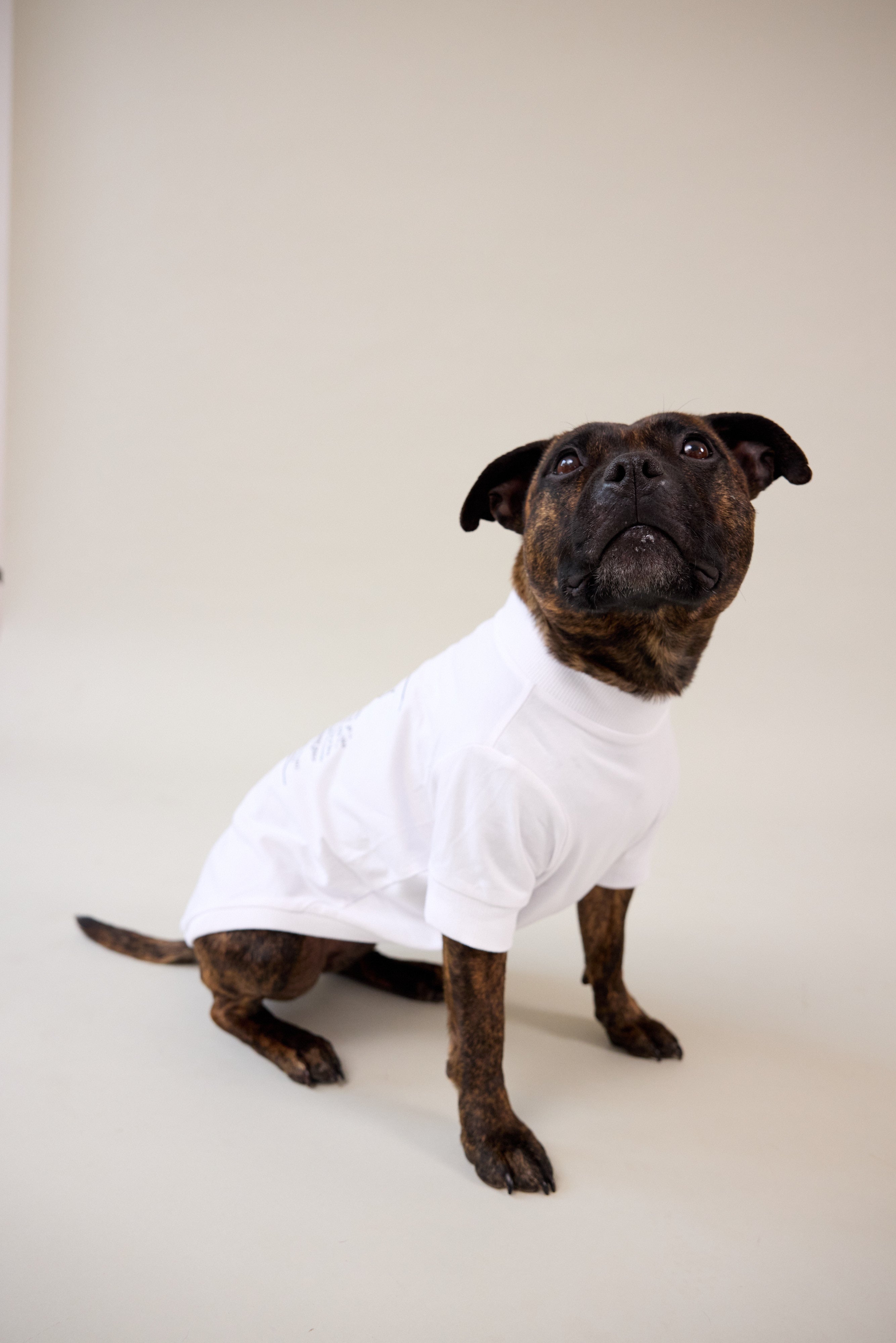 Staffy Dog Tee