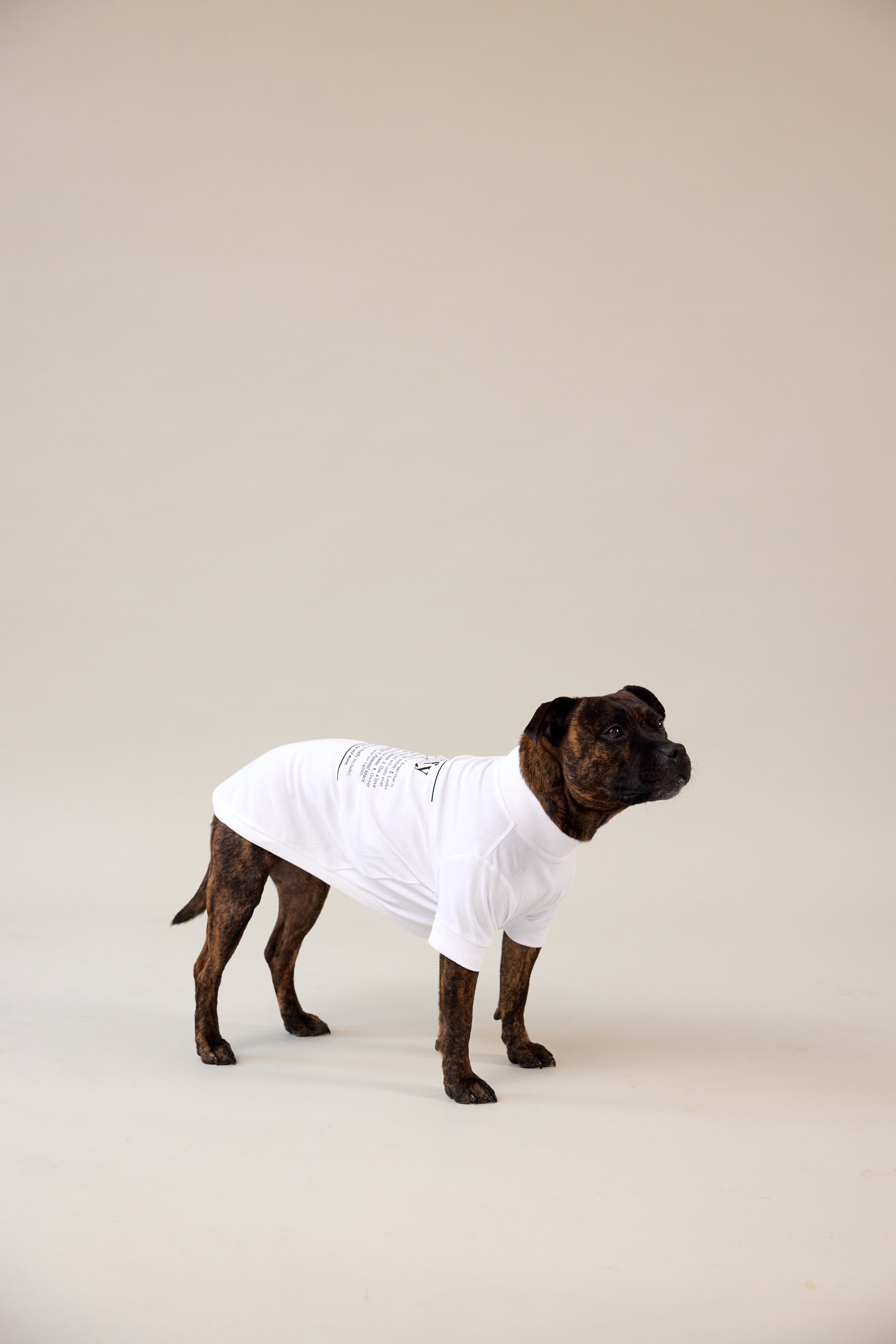 Staffy Dog Tee