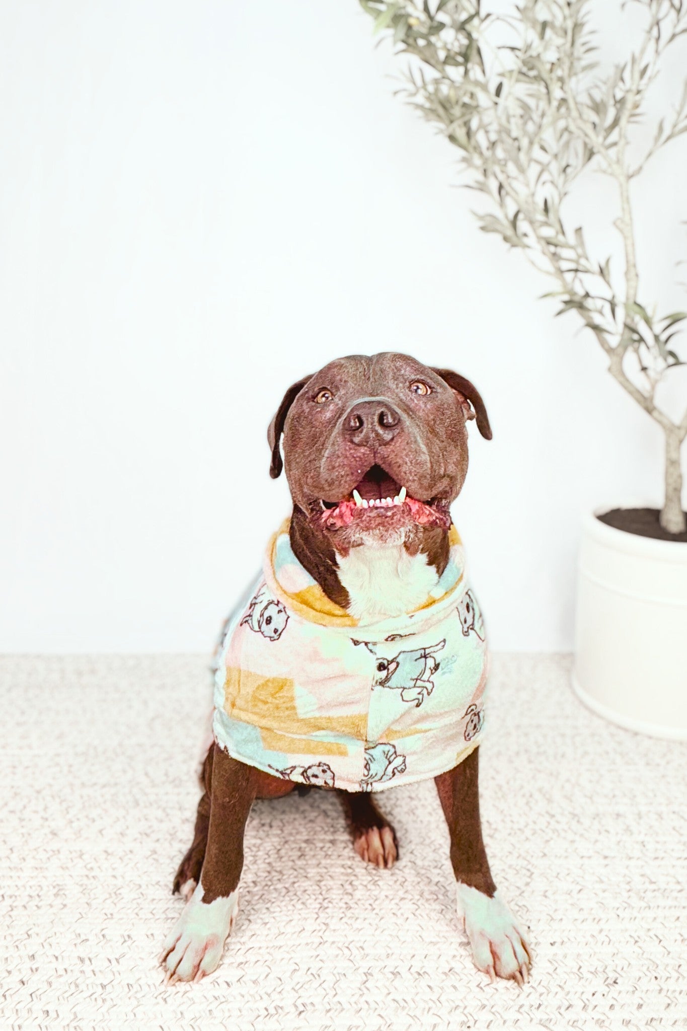 Rescue Ranch Snuggle Buddy Dog Robe